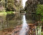 Parcul dendrologic Simeria Foto Daniel Guță ADEVĂRUL (2) JPG