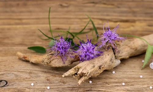 gheara diavolului jpg