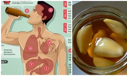 1 tonic cu miere si usturoi pentru imunitate puternica in aceasta toamna se prepara rapid rheg jpg jpeg