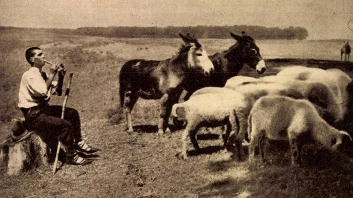 Petrache, pe malul Dunării. Foto: Realitatea ilustrată, 1935