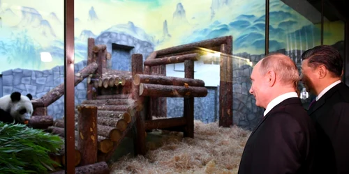Vladimir Putin si Xi Jinping la Gradina Zoologica din Moscova FOTO EPA-EFE