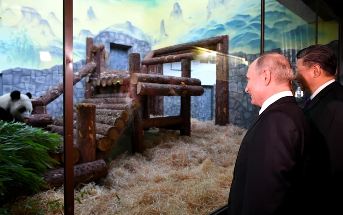 Vladimir Putin (primul din imagine) şi Xi Jinping în vizită la Grădina Zoologică din Moscova FOTO EPA-EFE