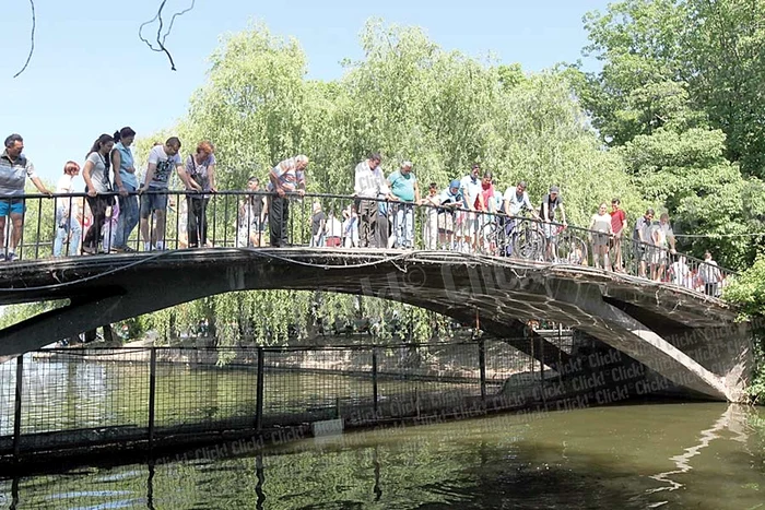 Andrei Gavrilă, 7 ani (Fotografii: Sever Gheorghe, Dorin Constanda)