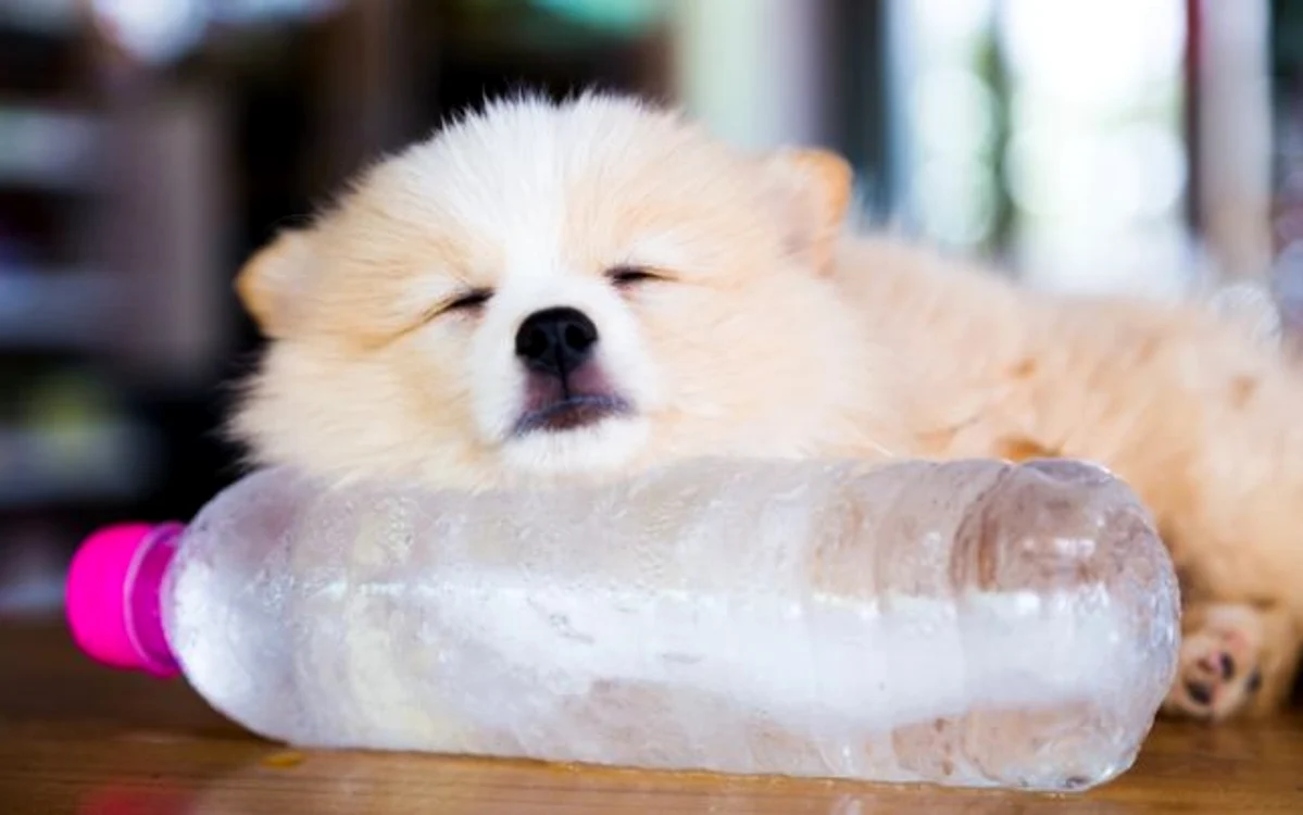 FOTO: shutterstock