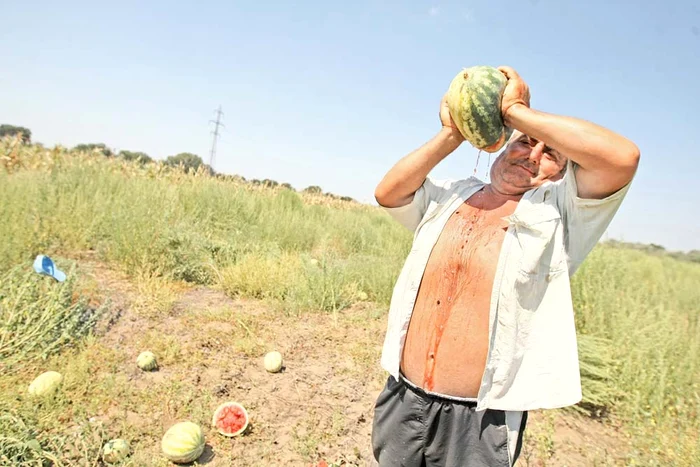 
    Viorel Becheanu ne-a arătat cum se răcoresc localnicii din Dăbuleni pe arşiţăFoto: Dorin Constanda  