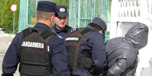 Prinşi de poliţiştii tulceni (foto arhivă)