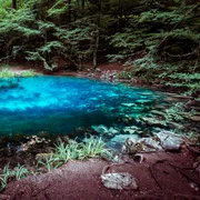 lacul ochiul beiului jpg