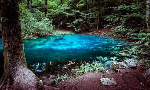 lacul ochiul beiului jpg