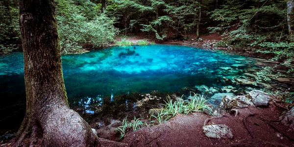 lacul ochiul beiului jpg