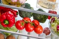 Roșii și alte legume la frigider FOTO Shutterstock 