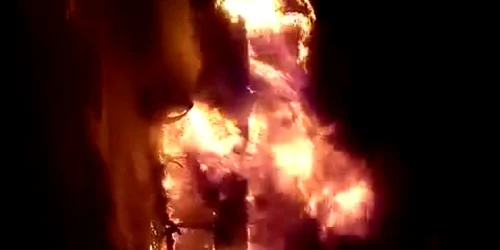 5bcae712df52022f75af7fa0 jpg