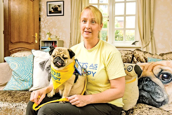 Diagnostician. Datorită mirosului câinii sunt folosiţi în detectarea bolilor, inclusiv a cancerului