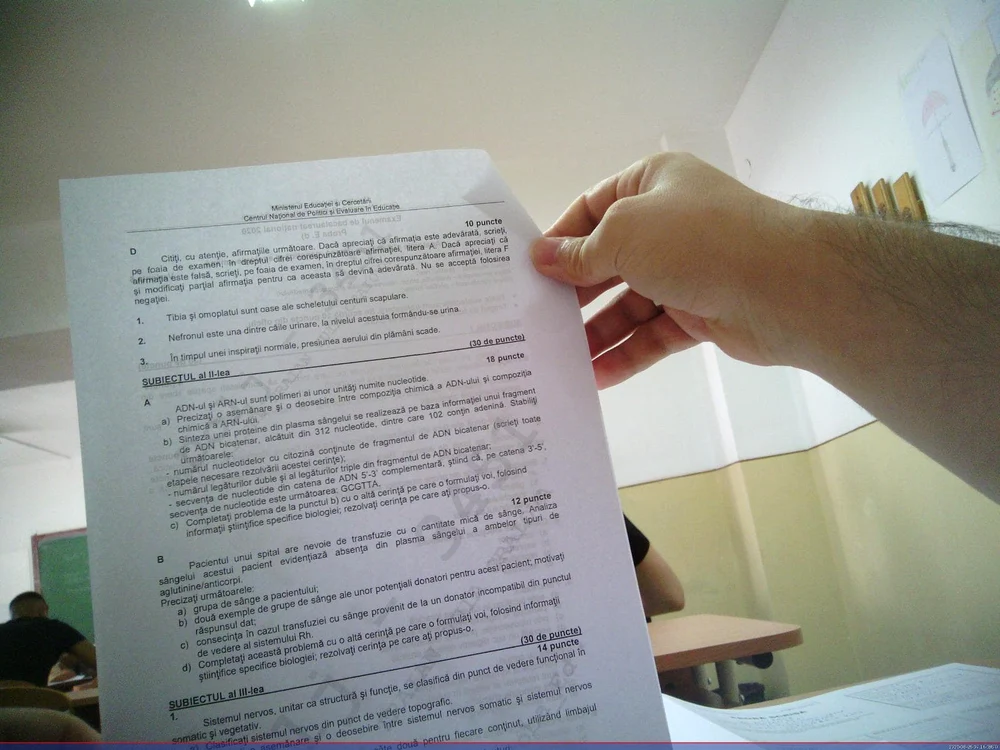 Subiectele au apărut în mediul online imediat după ora 09.00, ora începerii examenului