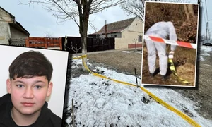 Mario Alin Bendei jpg