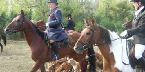 Satu Mare: Vânătoare cu copoi la Satu Mare