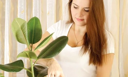 femeie plante12547 0 0 jpeg