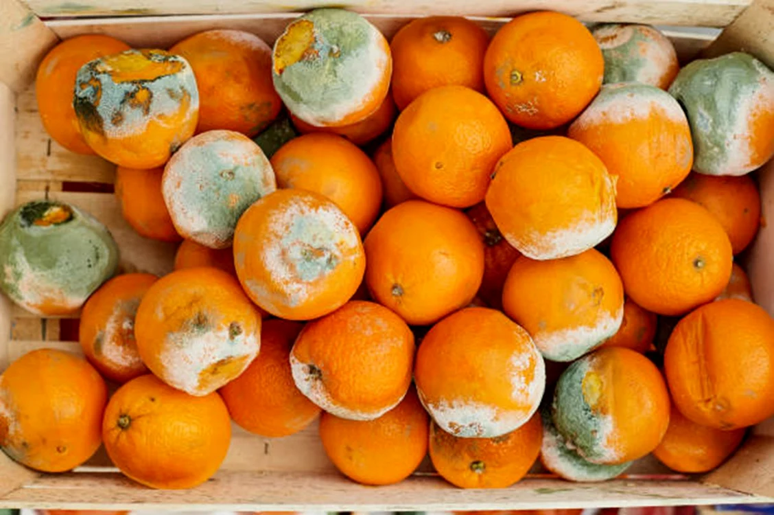 Mucegaiul poate afecta orice fel de aliment / foto: IStock