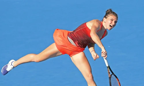 halep semifinale  jpeg
