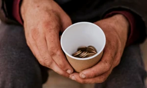 cersetorie freepik jpg