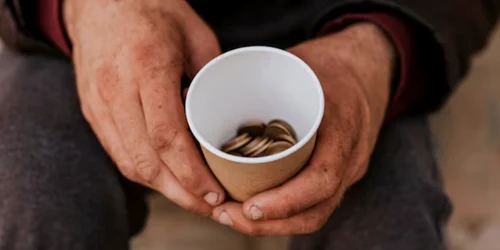 cersetorie freepik jpg