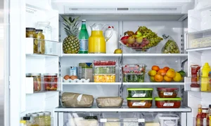 1601p129 anatomy healthy fridge 0 jpeg