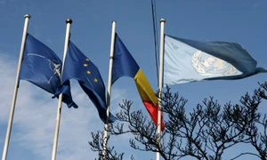 Euro dezamăgirea jpeg