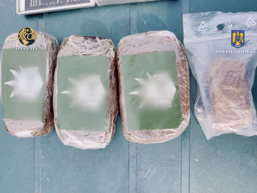 Ciuperci halucinogene la o petrecere câmpenească cu stupefiante în Vâlcea Sursa DIICOT