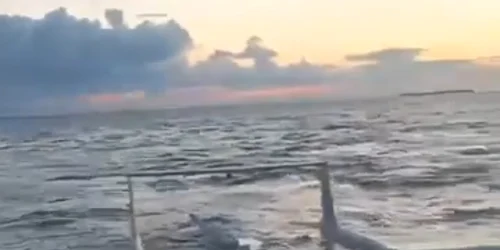 Dronă iraniană Mohajer-6 doborâtă în Ucraina FOTO mil.in.ua