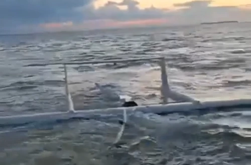 index.png?p=a%3D1%26co%3D1.05%26w%3D500%26h%3D750%26q%3D91%26r%3Dcontain%26c%3D0%252C0.092%252C1%252C0.628%26f%3Dwebp