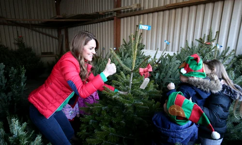 Kate Middleton şi micuţii s au distrat pe cinste şi au ales bradul de Crăciun împreuna  jpeg