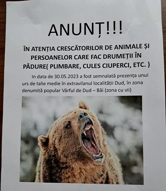 Au fost puse afișe FOTO Primăria Târnova
