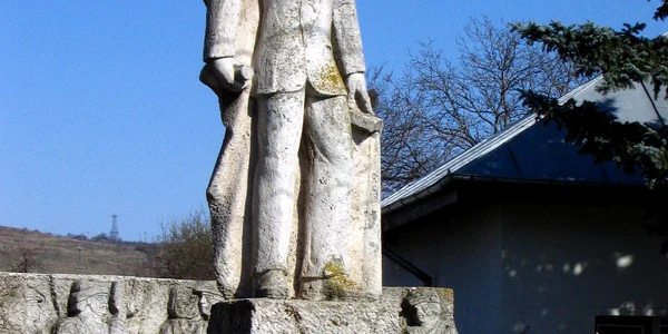 Teodor Diamant statue Boldesti (1) jpg