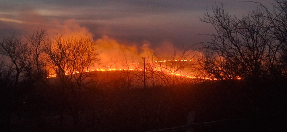 Incendiile de vegetație fac ravagii în România: două persoane au murit. Arafat denunță acțiuni intenționate 