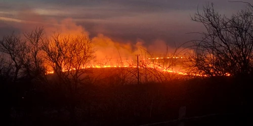 Incendiu de vegetație FOTO ISU/ Facebook 