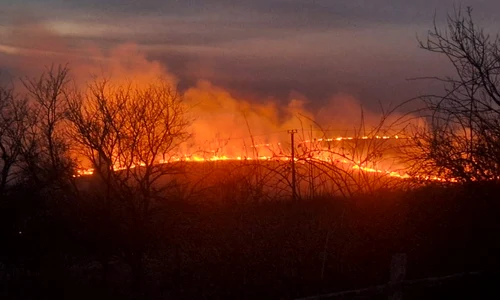 Incendiu de vegetație FOTO ISU/ Facebook 