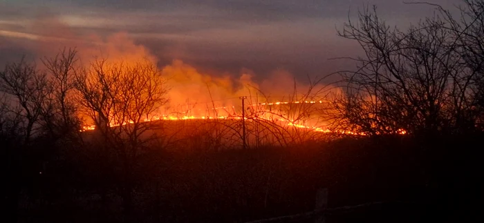 Incendii de vegetație uscată. FOTO: ISU 