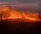 Incendiu de vegetație FOTO ISU/ Facebook 