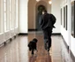 bo caine barack obama. foto gettyimages