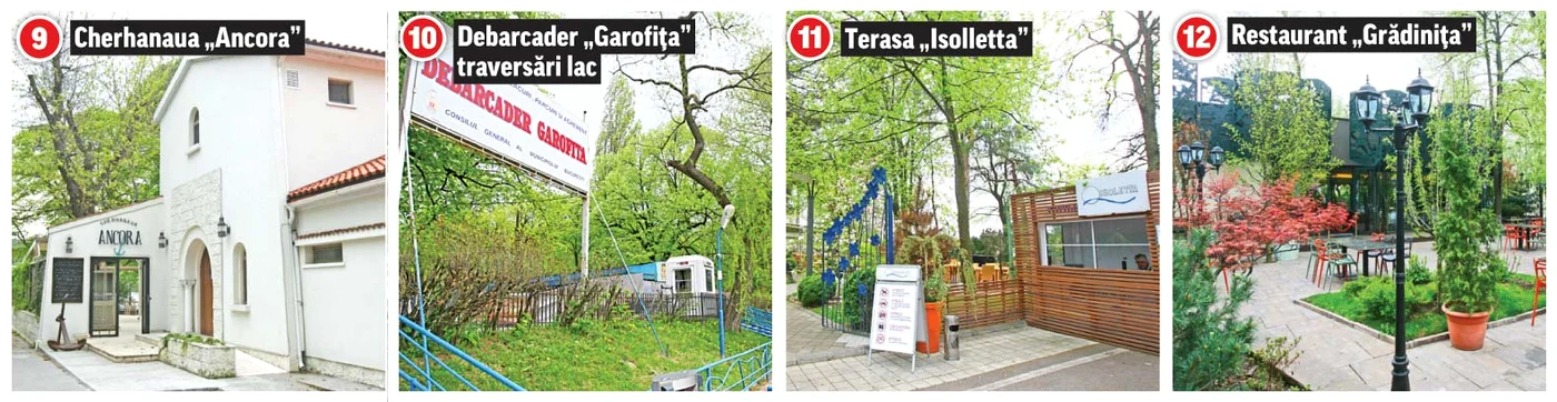 
    Foto: Dorin Constanda  