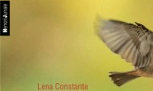 Dimineaţă recuperată  Amintiri din penitenciarul politic Miercurea Ciuc – interviu cu Erzsébet TELEKI jpeg