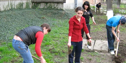 Ecologiștii vor mai multe spații verzi