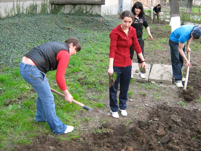 Ecologiștii vor mai multe spații verzi