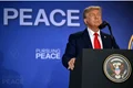 TRUMP AFP jpg