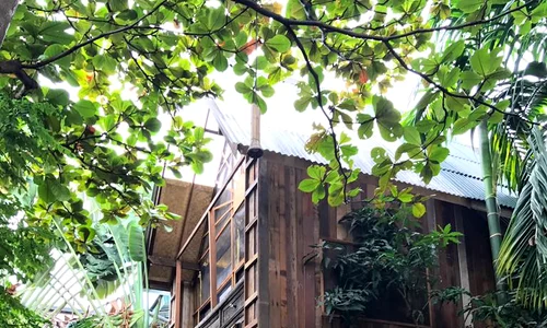 Chiang Mai delia jpeg