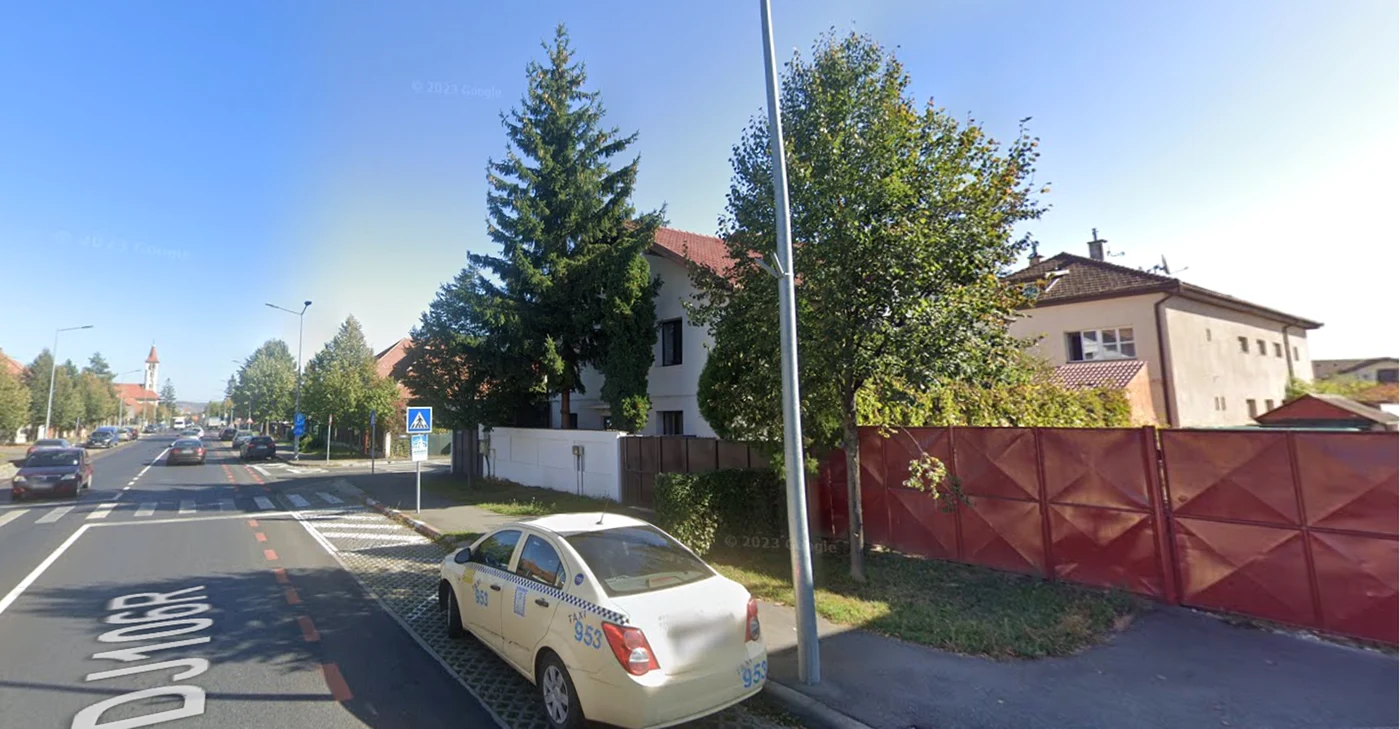 Teiul de pe spațiul verde înainte de a fi tăiat de un sibian din fața porții-în dreapta Google Maps