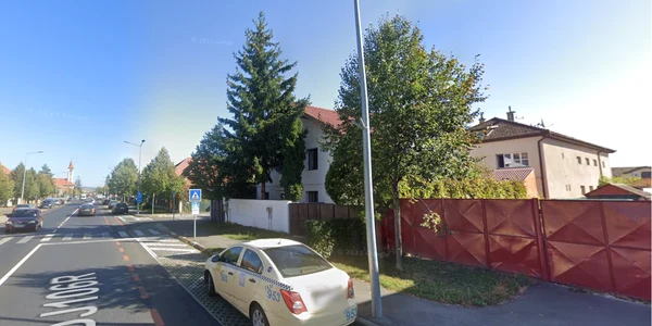 Teiul de pe spațiul verde înainte de a fi tăiat de un sibian din fața porții - în dreptul taximetrului Foto Google Maps