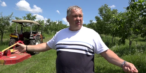fructe de pădure bunesti Suceava