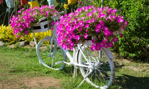 1 shutterstock 1287119950 jpg jpeg