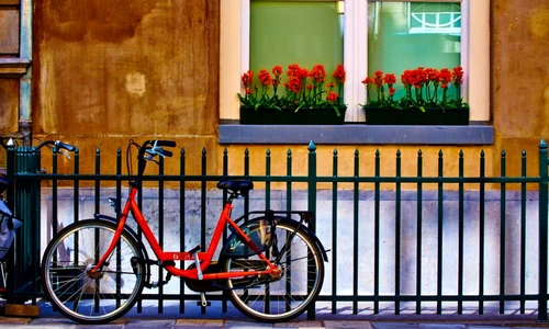 1 68491 original jpg jpeg