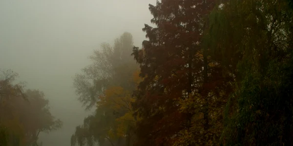 parc IOR